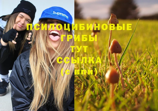молекула духа Нефтекумск